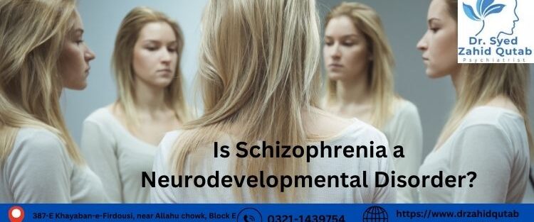 Is Schizophrenia a Neurodevelopmental Disorder