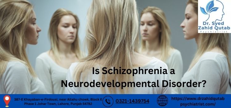 Is Schizophrenia a Neurodevelopmental Disorder